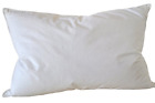 Pcs40 Natural Comfort Standard Classic White Goose Down Feather 689076559249