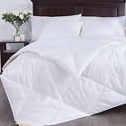 Pd-16040-f-q Puredown Lightweight Comforter Goose 722970125650