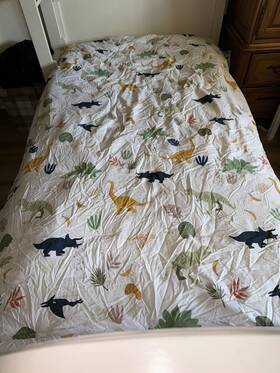 80775198 Pillowfort Twin Dinosaur Cotton Comforter Set - And Pillow Sham