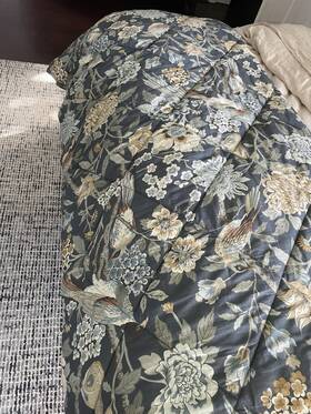 1960119 Pottery Barn Bloom Sateen Comforter Twin/twin Xl In Blue
