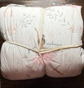2516058 Pottery Barn Kids Ballerina Princess Comforter Pink Twin - Pre Owned Read