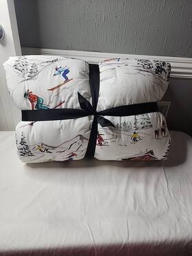 6856175 Pottery Barn Whistler Run Ski Winter Cotton Comforter Multi Full Queen