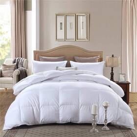 Qdydf 764258992028 King Size White All-season Comforter Down Alternative And Duvet