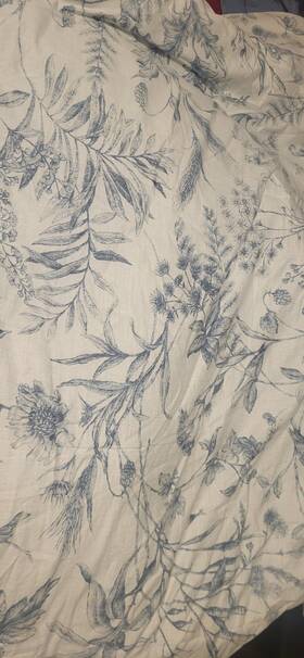 Ralph Lauren 886087418422 Genevieve Floral Blue And White Toile Queen Comforter Set Guc