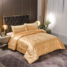Raytrue-x 795261220501 Queen Comforter Set- Luxury Gold Silk Bed Set All Season Lightweigh