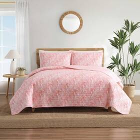 Ushsa91321617 Revman International Quilt Set Super Soft Bedding With Matching Shams Vibrant Fern King Coral