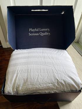 Riley 810026430534 King White Goose Down Comforter All Season - Super Cozy Read