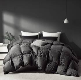 Saiser 445037886877 Grey Goose Feathers Down Fiber Comforter King Size Premium All Season Duvet Ins