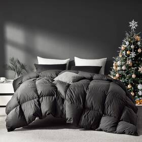 Saisier 313051059003 Comforter Queen Premium All Season Duvet Insert Goose Feather Down Winter Warmth