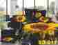 Sd-017 Beror Original Comfort 3d Effect 100 Cotton 5pc Bedding Set With Gift Box Bag