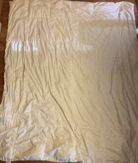 23841 Seasons Palais Royal Preowned White Goose Down Comforter Full/queen Needs Dry Cleaning Fast Shipping 23841 Seasons Palais Royal Preowned White Goose Down Comforter Full/queen Needs Dry Cleaning Fast Shipping