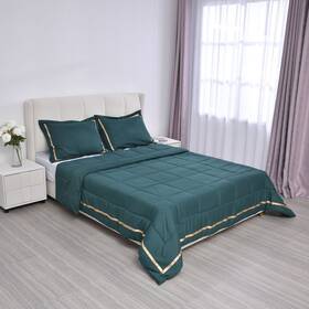 3877963 Shop Lc Homesmart Green Quilted Pattern Ultra Soft Microfiber 3pcs Comforter Set-queen