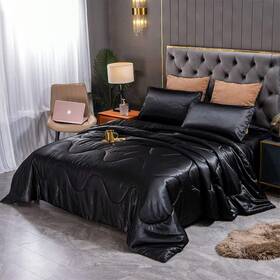 Sisher 011485660452 Satin Comforter Set Queen Size Black Silk Bedding With 2 Pillowcases Luxu