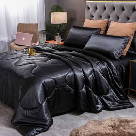 Sisher 782937047449 5pcs Stain Comforter Set Queen Silk Bed In A Bag Luxury Super Soft Be