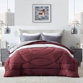 Sleep Zone 810029081351 King Size Comforter Duvet Insert Down Alternative Reversible Comfo