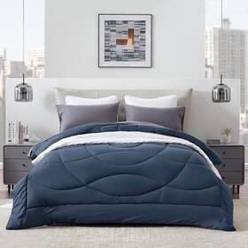 Sleep Zone 810029087841 King Size Comforter Duvet Insert Down Alternative Reversible Ligh