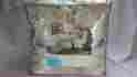 54206575756 Somerset Peony Martha Stewart 9 Piece Queen Comforter Set