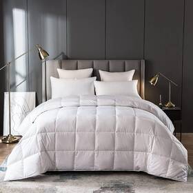 Spring Home Textile 313021643676 Lightweigt Goose Down Comforter Blanket Duvet California King Lightweight-white