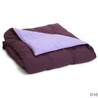 Superior Full Queen Plum Lavender All Season Reversible Down Alternative Comforter 615031020158