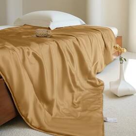 W01w08317y-3t Taihu Snow Silk Blanket 100% Muberrry Cooling Throw Soft And 53 Inch X70 Metallic Gold