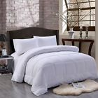 Tbs111 First Net Home All Season Alternative Goose Comforter 636823714116