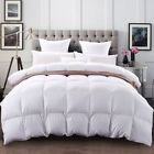 Teb073wv3gqq C W Luxurious Down
