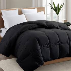 2100 Texartist 445007071043 Premium Series Queen Comforter All Season Breathable Black Comfor
