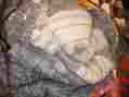 Th4322 Tommy Hilfiger Canyon Paisley Comforter Set King Indigo Pre-owned