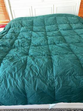 Mcx22 The Company Store Queen Size Green Down Comforter Quilted Blanket 92 Inch X 98 Read