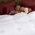 800goose Twin Regulating Level Cuddledown Temperature 2 280 - White Tc