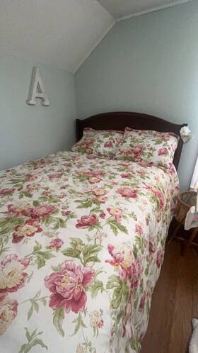 26926601369 Waverly Forever Peony 3-piece Comforter Set Bedding Full/queen Beautiful