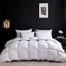 Sgr-wq1 Wenersi Feather Down Comforter Queen 90x90inches Solid White
