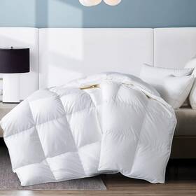 Cf01q Whatsbedding Queen Feather Comforter Filled With And White