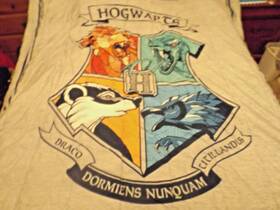 Wizarding World 032281186555 Harry Potter Twin Or Full Size Comforter 72 Inch X 86 Gray