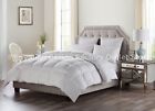 Wmq7vypwgd Egyptian Cotton Factory Outlet 825625275783