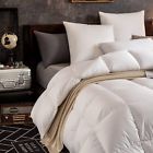 Xjmy-b17013 King Goose Down Comforter Tc Cotton Fill Lavender