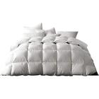 Xjmy-b17019 Globon Winter White Goose Down Comforter King Size 6970404391377