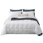 Xjmy-b17023 Globon White Goose Down King Lightweight Summer Real 6970404391971