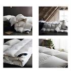 Xjmyb17001 Globon Fusion White Goose Down Comforter King Heavywarmth 6970404391353