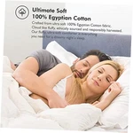 Luxurious Size Siberian Goose Down Comforter Fiber Duvet 100% Queen White. Fixed Price $227.59.