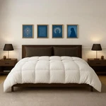 1 Pc Twin Xl 68" 92" Comforter Dorm Room Beds, Premium Brushed Microfiber. Fixed Price $42.88.