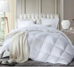 Luxurious Siberian Goose Down Comforter Full Size 750+ Fill 60-70OZ Egypti. Fixed Price $70.00.