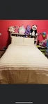 Rachel Ashwell Queen Comforter Set 3PC Almond/beige + 2 Shams. Fixed Price $20.69.