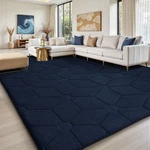Large Jacquard 3D Plush Area Rug Soft Shaggy Non-slip Floor Carpet. Fixed Price $139.99.