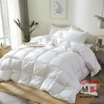 Royal Luxe Goose Feather Down Fiber Comforter - Full/queen Season. Fixed Price $90.41.