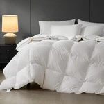 Queen Size Down Comforter,medium Weight All-season Duvet Insert With 8 Loops,lux. Fixed Price $159.99.