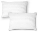 Dreamnorth Premium Gel Pillow Loft, Plush Soft Bed 2 Pack, Queen Size. Fixed Price $29.99.