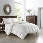 New York & Company Gianna Down Duck Feather Comforter. Fixed Price $69.99.