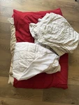 College Dorm Twin Xl Sheet And Comforter Set.. Fixed Price $24.90.