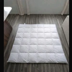 Charter Club White Down Queen Year Round Lofty Light. Nice!. Fixed Price $114.00.
